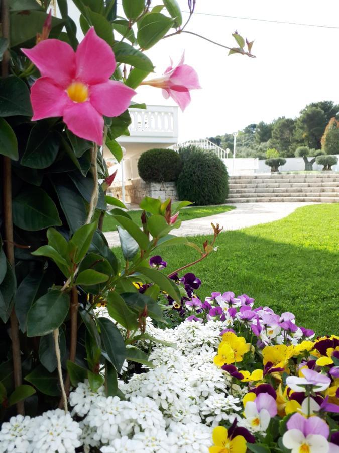 Villa Natia モットラ エクステリア 写真